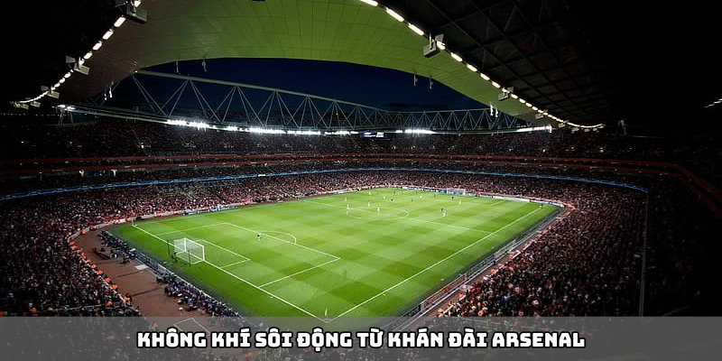 Không khí sôi nổi từ khán đài